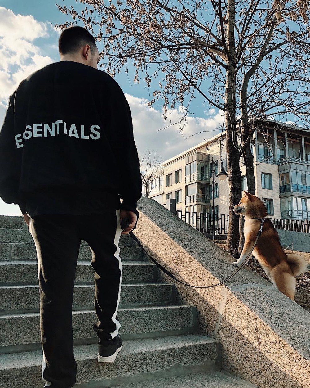 essentials fog joggers